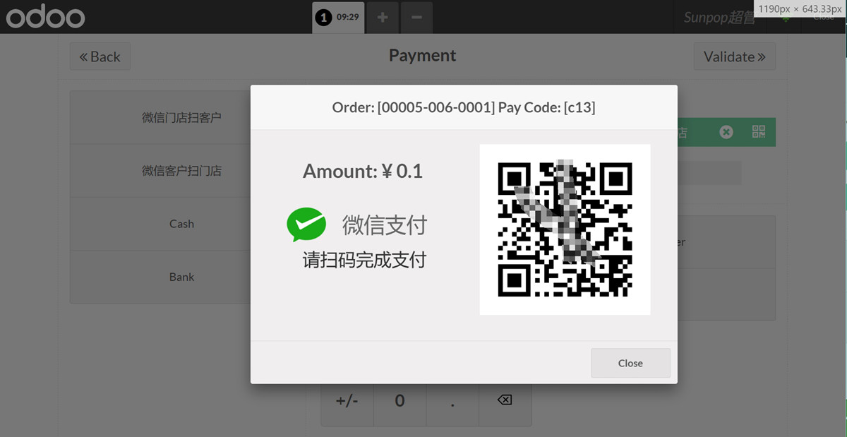 POS Wechat Pay, Website wechat payment