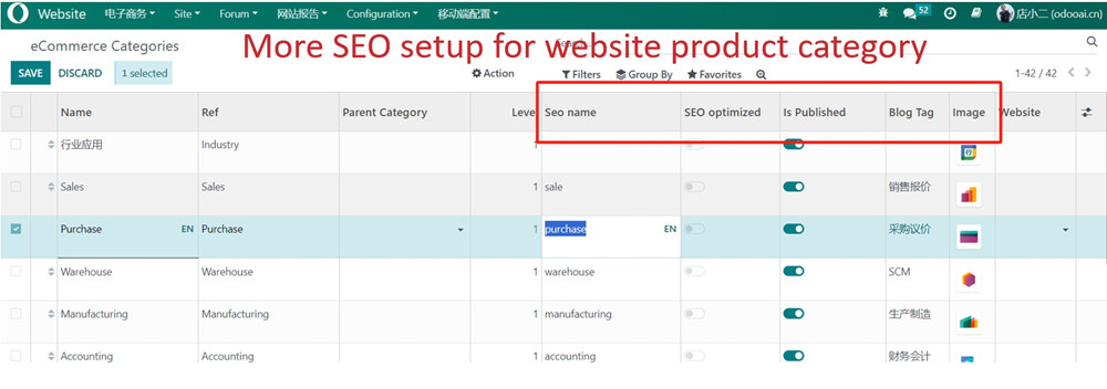 4. Odoo全站特殊优化，增补重要页面的SEO设置，如电商品类/博客类别等关键页